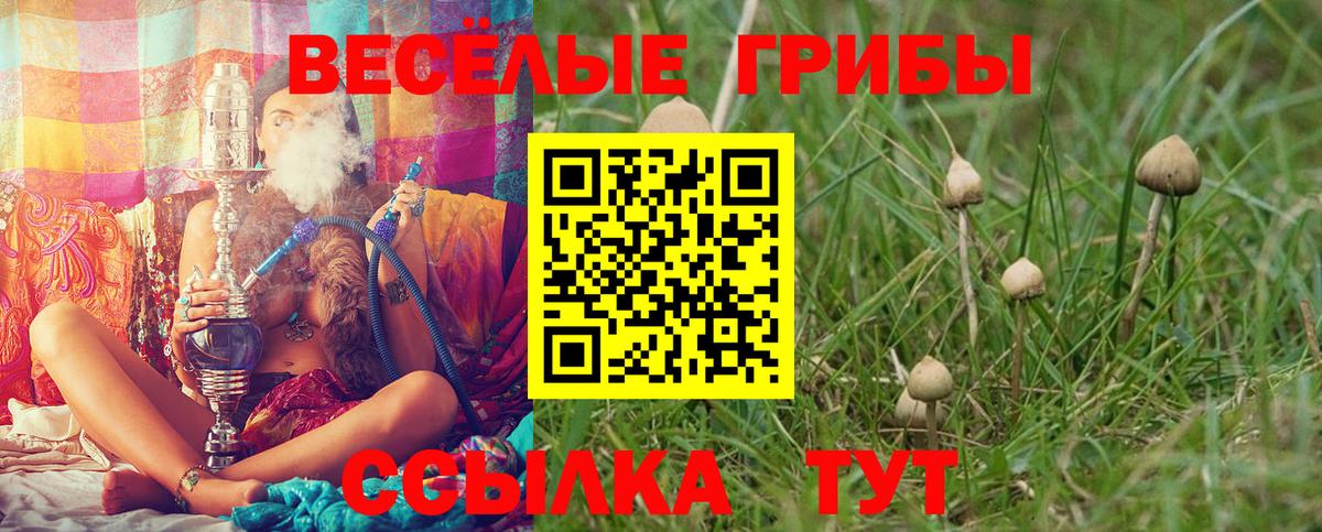 Псилоцибиновые грибы мицелий Тула