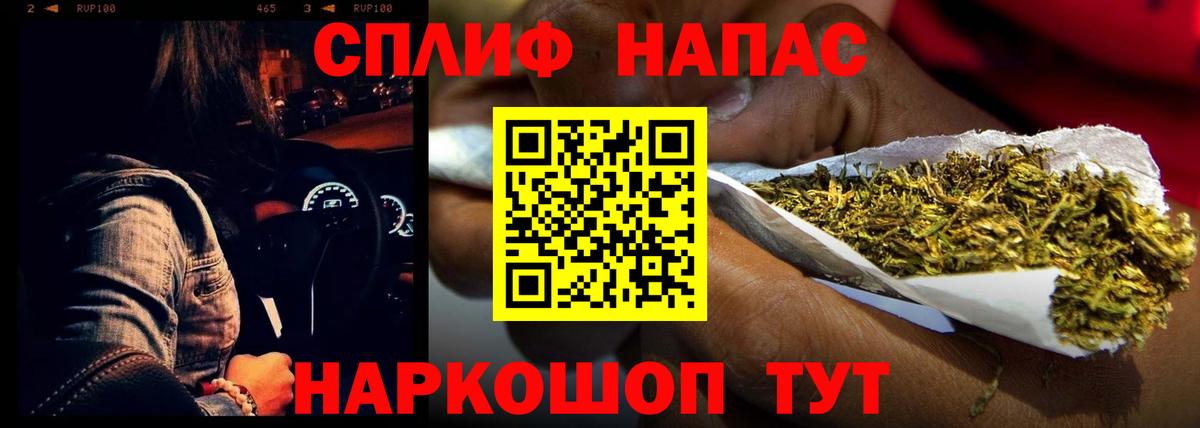 МАРИХУАНА конопля Тула